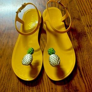 Buyer is responsible  for shipping